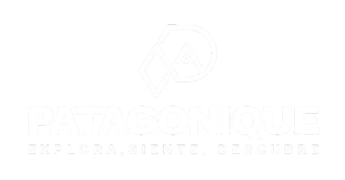 PATAGONIQUE EXCURSIONES PERITO MORENO